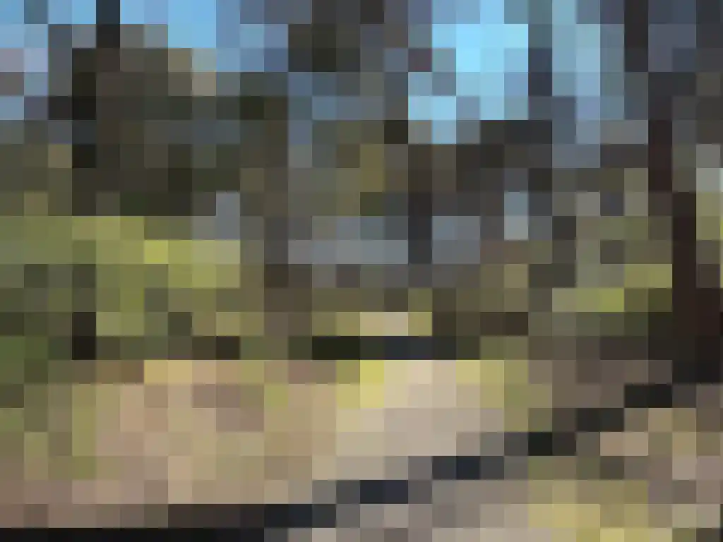 Biesdeel 4 b 60 Vlierden thumbnail 9