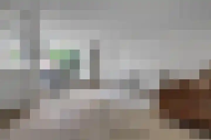 Biesdelselaan 2 d Velp thumbnail 11
