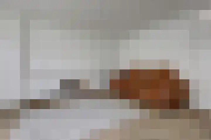 Biesdelselaan 2 d Velp thumbnail 12
