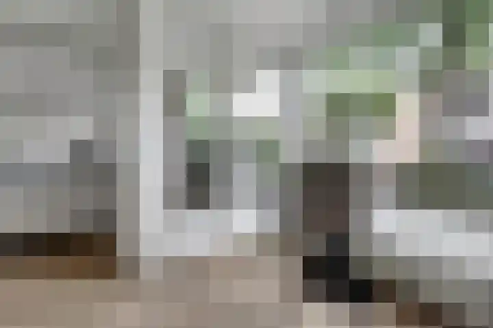 Biesdelselaan 2 d Velp thumbnail 16
