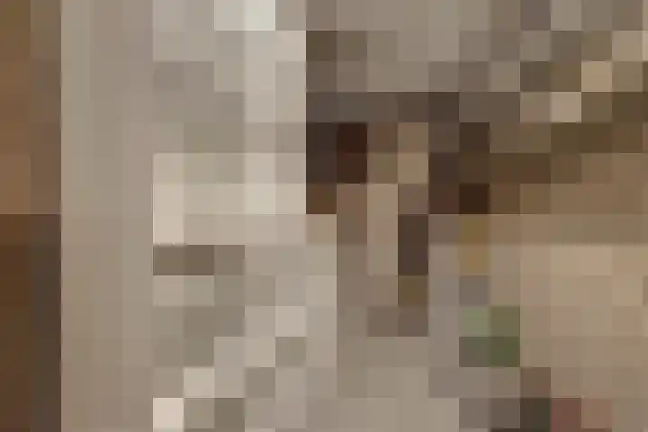 Biesdelselaan 2 d Velp thumbnail 25