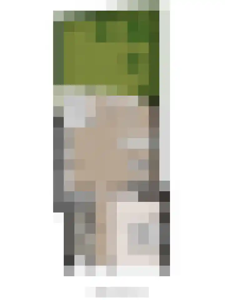 Biesdelselaan 2 d Velp thumbnail 26