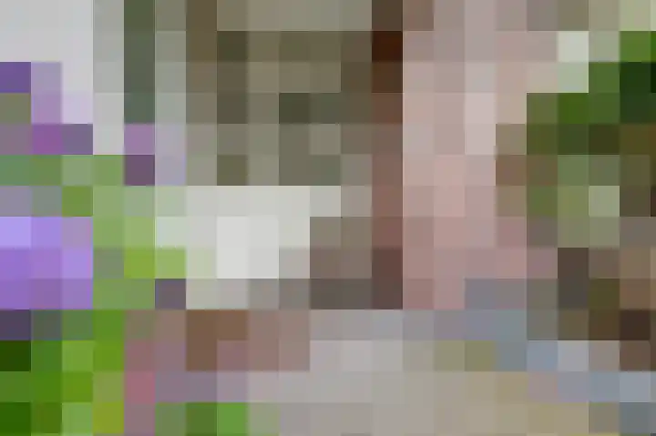 Biesdelselaan 2 d Velp thumbnail 27