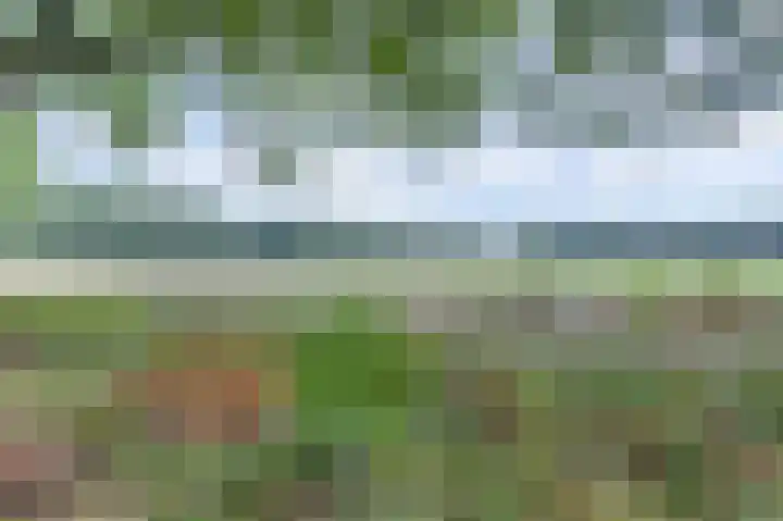 Biesdelselaan 2 d Velp thumbnail 38