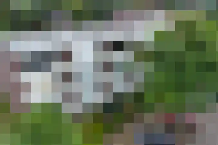 Biesdelselaan 2 d Velp thumbnail 40
