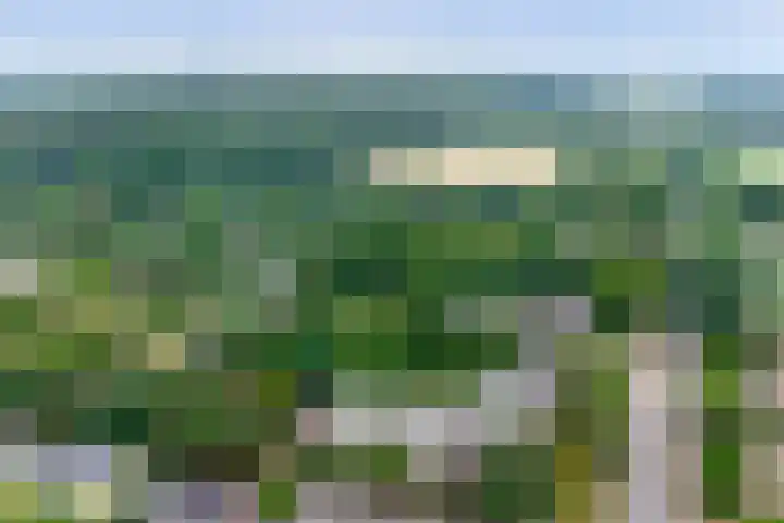 Biesdelselaan 2 d Velp thumbnail 43