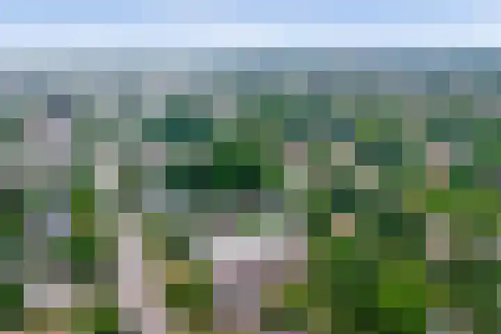 Biesdelselaan 2 d Velp thumbnail 44