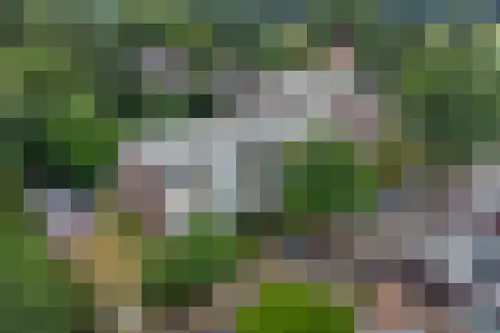 Biesdelselaan 2 d Velp thumbnail 57