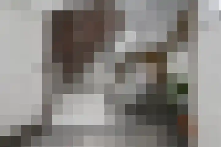 Biesdelselaan 2 d Velp thumbnail 7