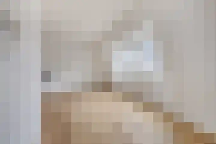 Biesdelselaan 2 e Velp thumbnail 18