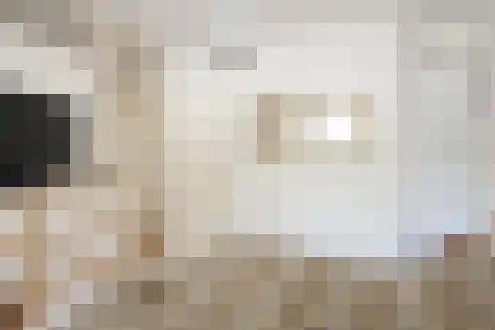 Biesdelselaan 2 e Velp thumbnail 20