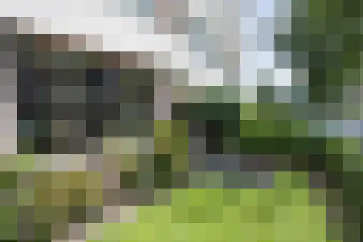 Biesdelselaan 2 e Velp thumbnail 29