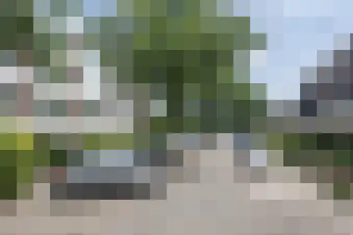 Biesdelselaan 2 e Velp foto 3