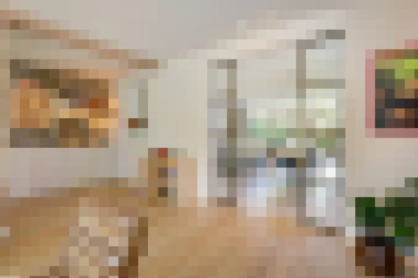 Biesdelselaan 22 d Velp thumbnail 14