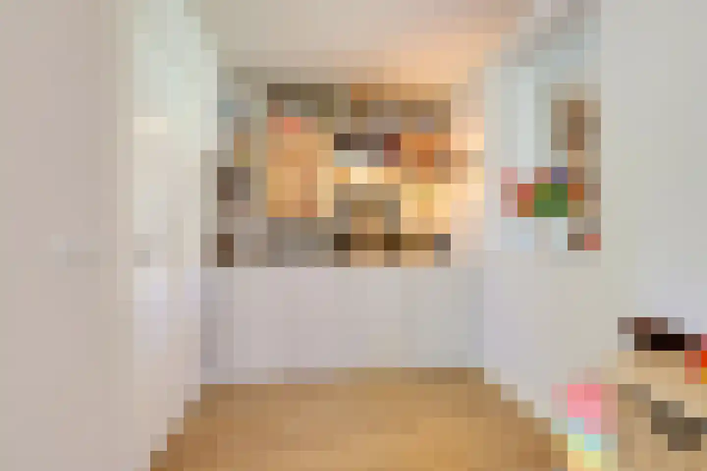 Biesdelselaan 22 d Velp thumbnail 15