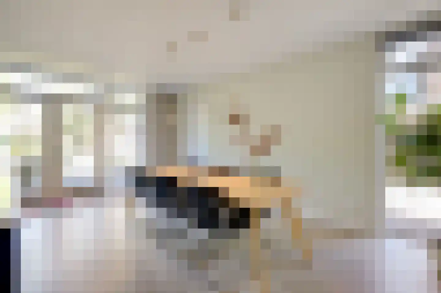 Biesdelselaan 22 d Velp thumbnail 24