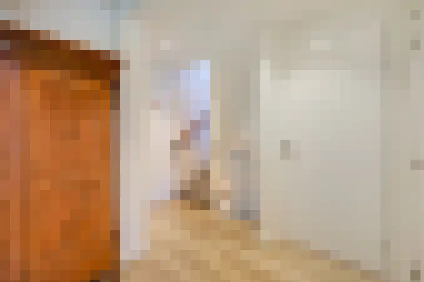 Biesdelselaan 22 d Velp thumbnail 29
