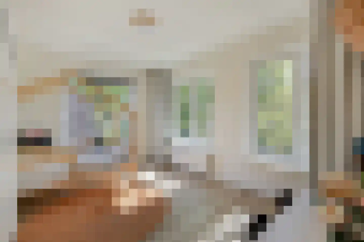 Biesdelselaan 22 d Velp thumbnail 33