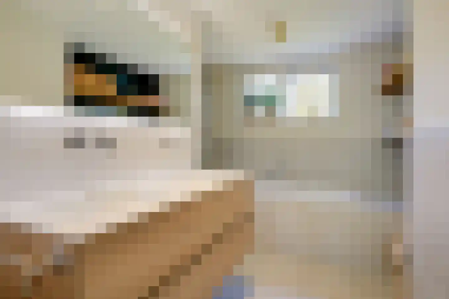 Biesdelselaan 22 d Velp thumbnail 37