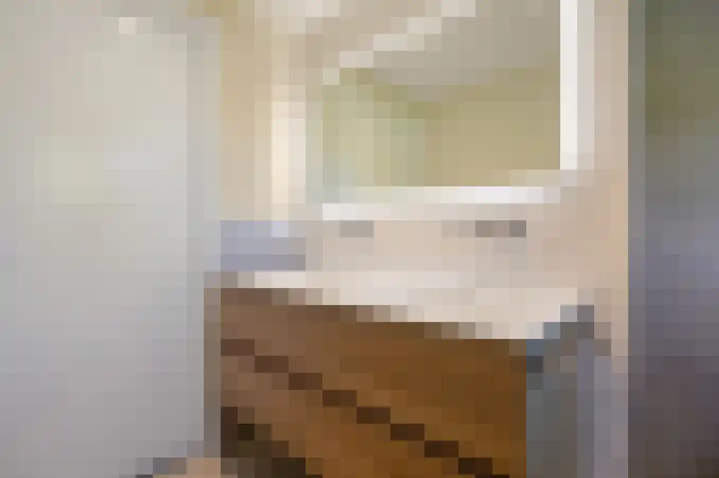 Biesdelselaan 22 d Velp thumbnail 40