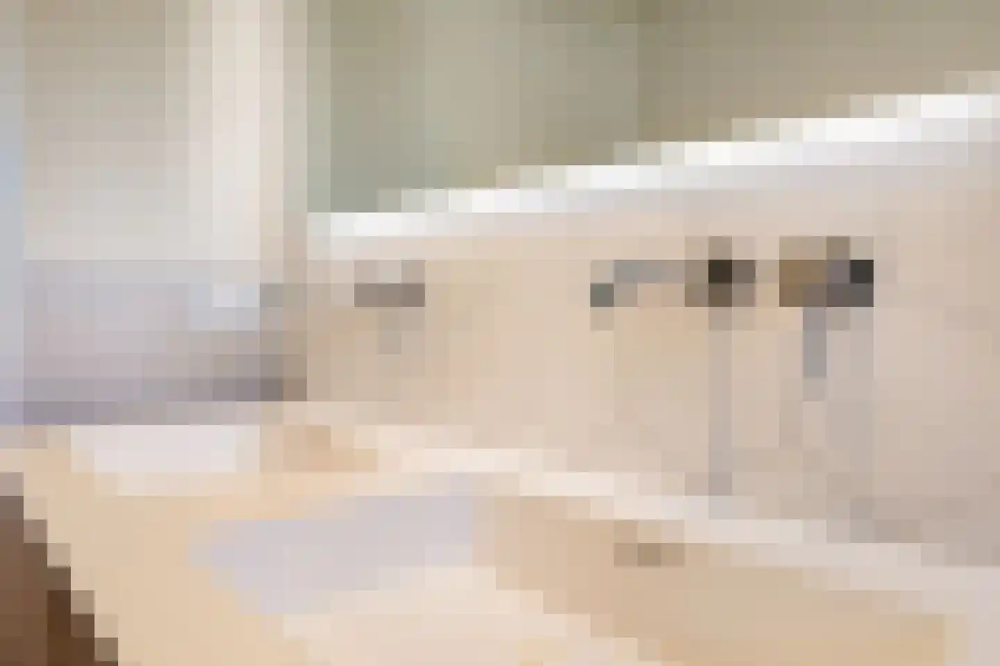 Biesdelselaan 22 d Velp thumbnail 41