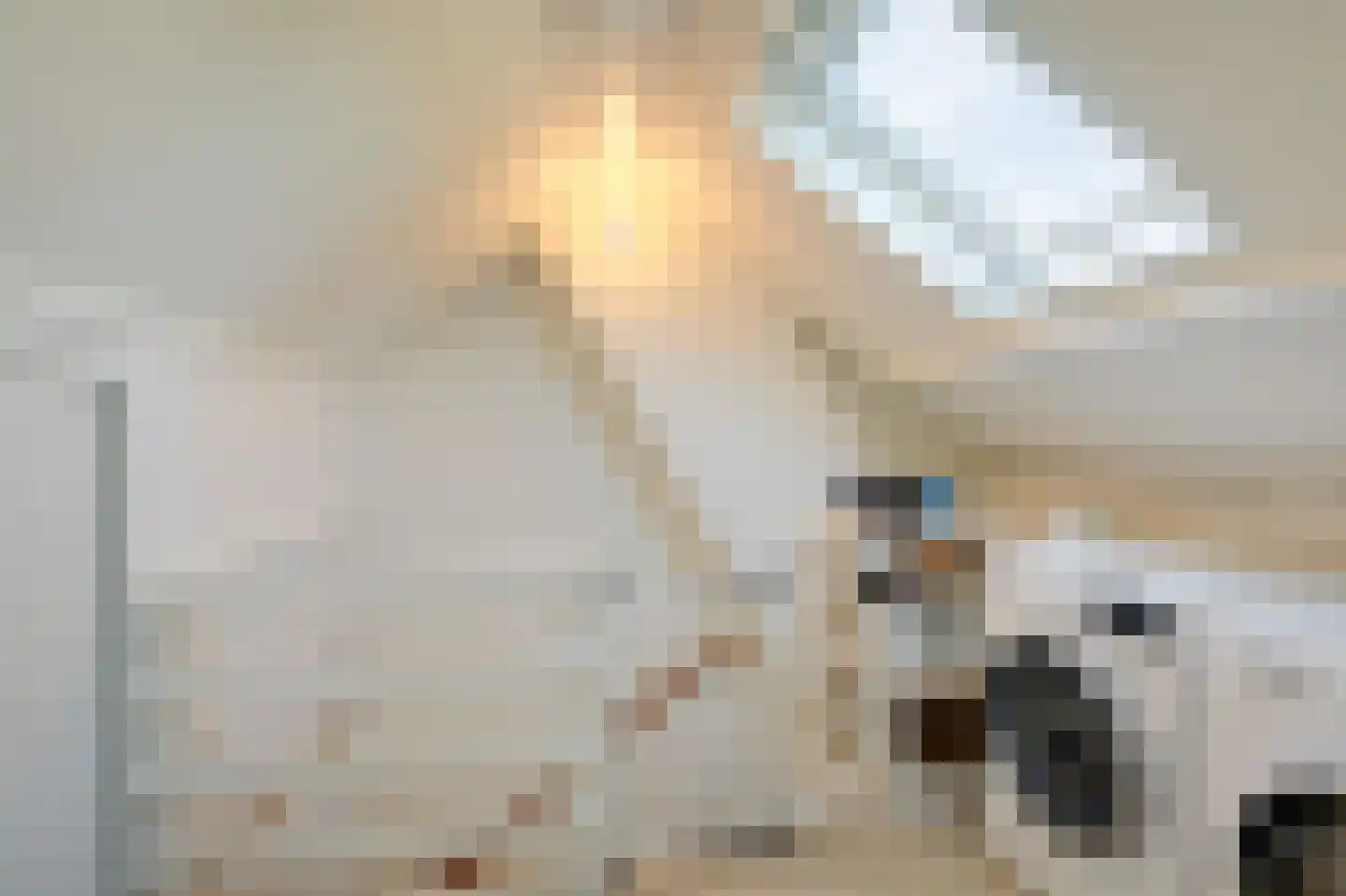 Biesdelselaan 22 d Velp thumbnail 43