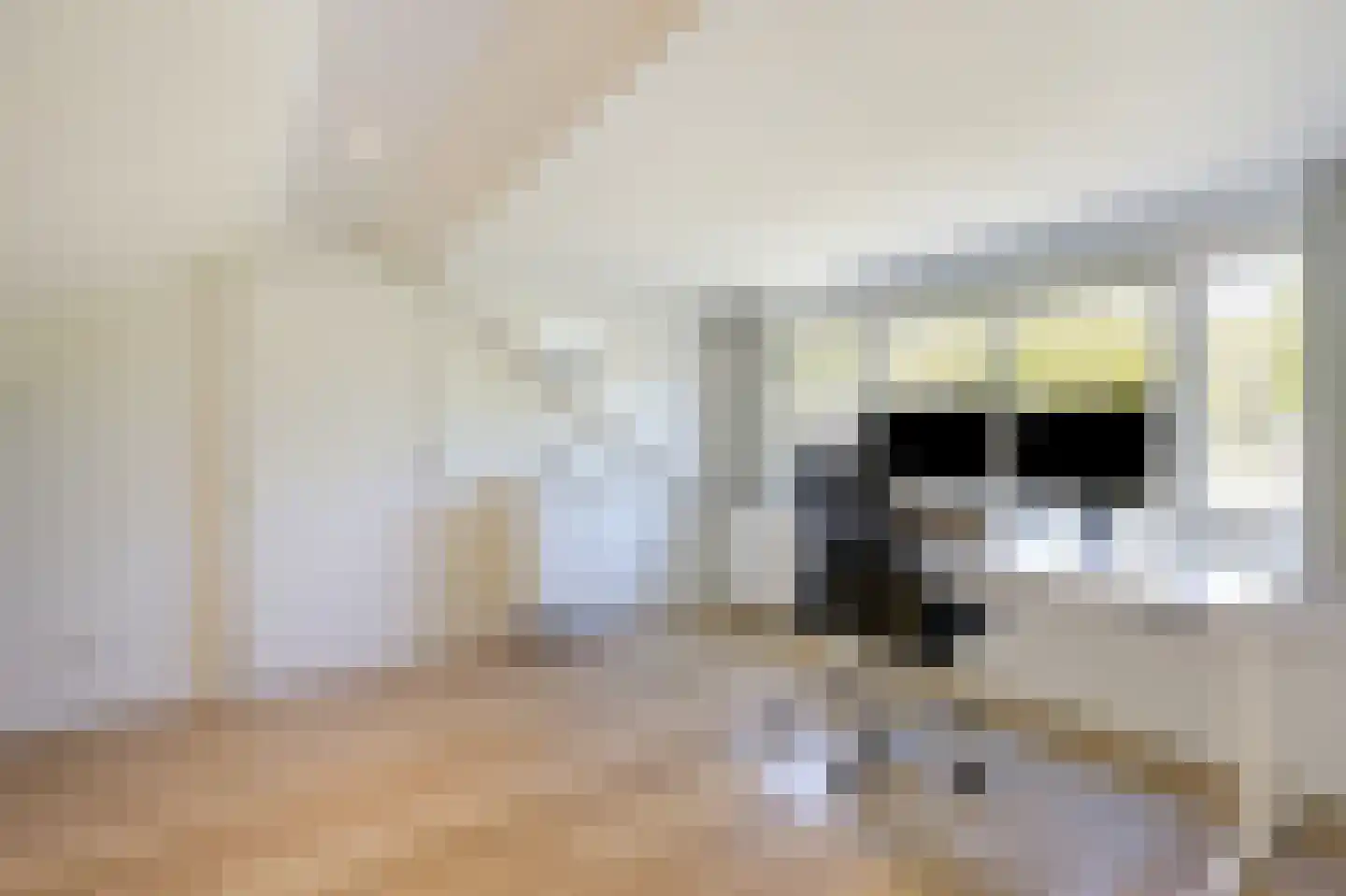 Biesdelselaan 22 d Velp thumbnail 46