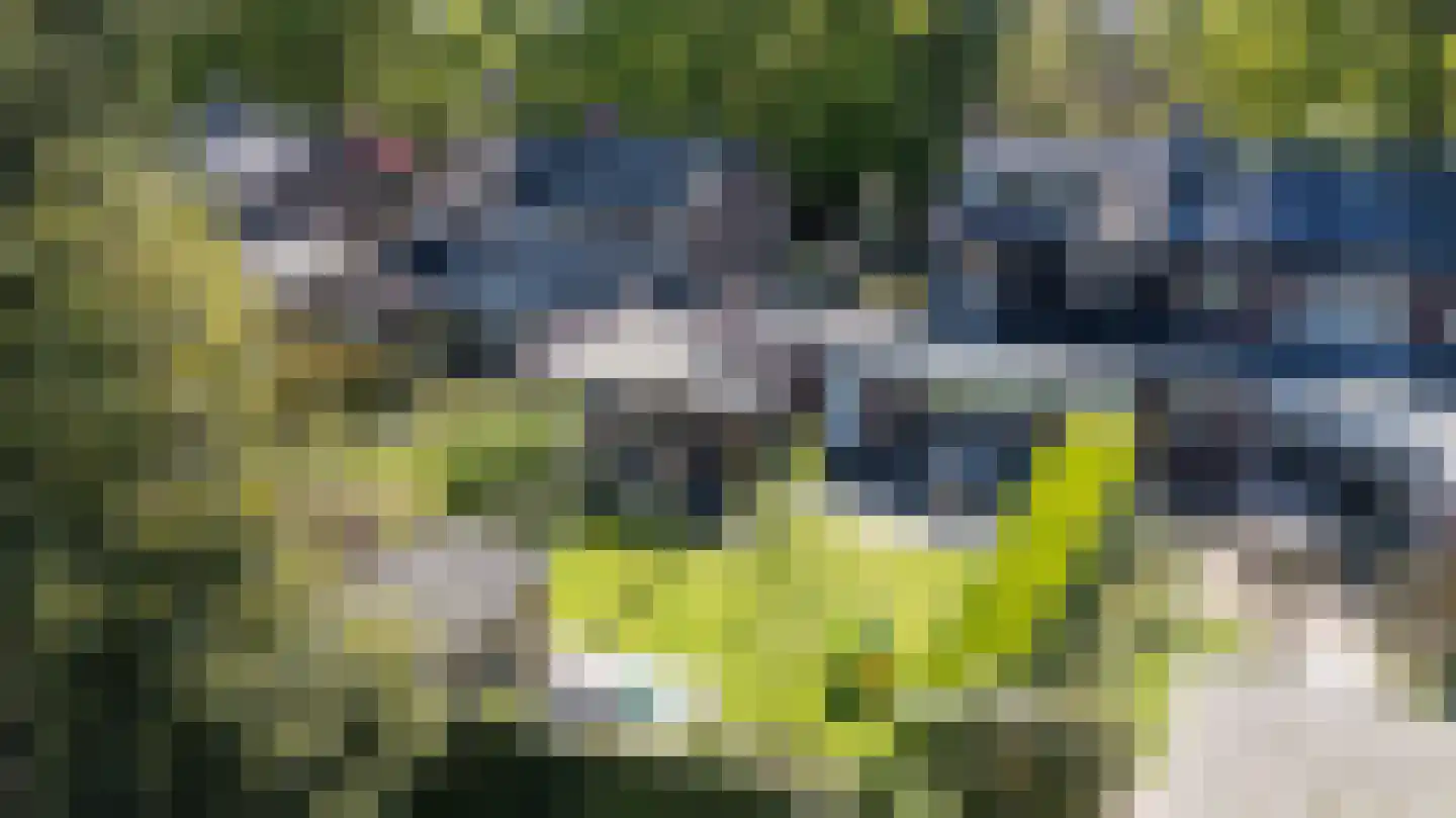 Biesdelselaan 22 d Velp thumbnail 5