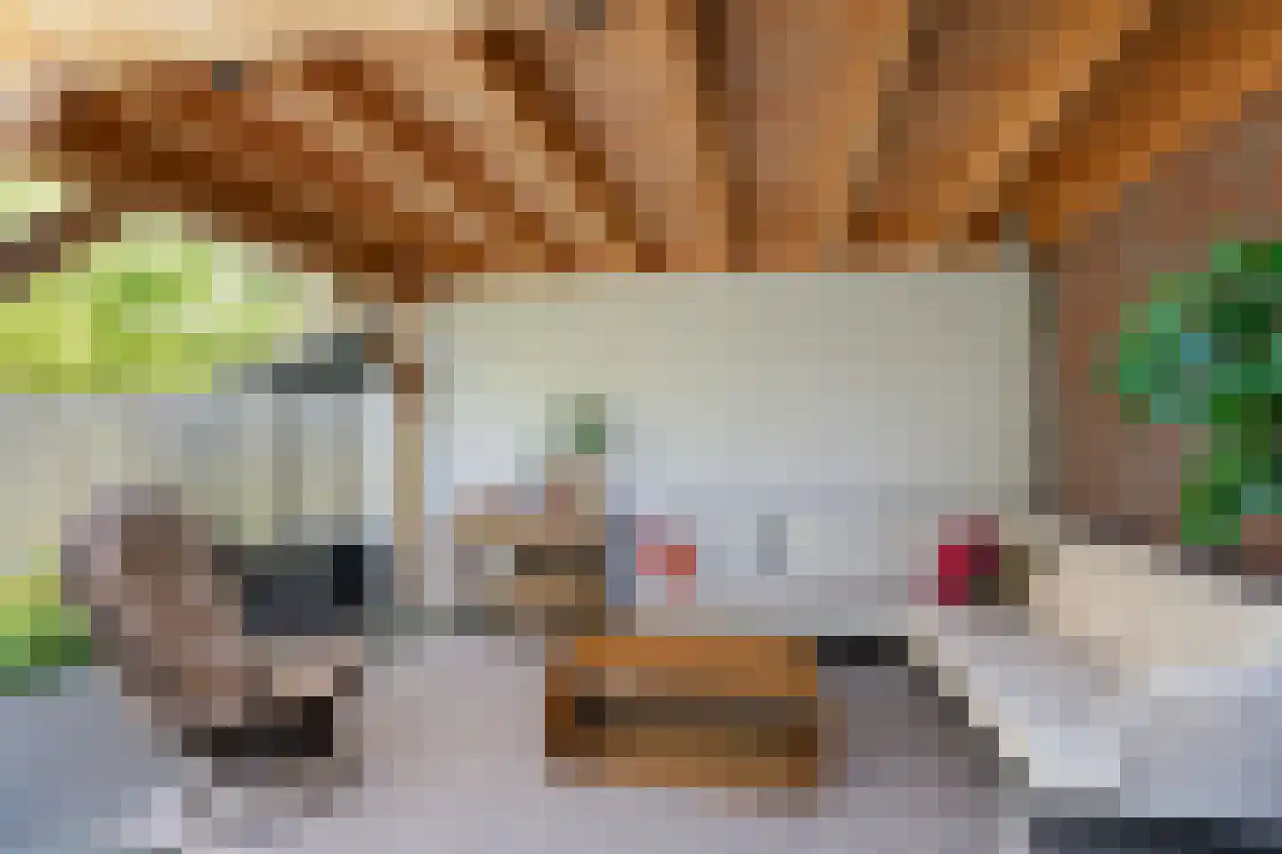 Biesdelselaan 22 d Velp thumbnail 55