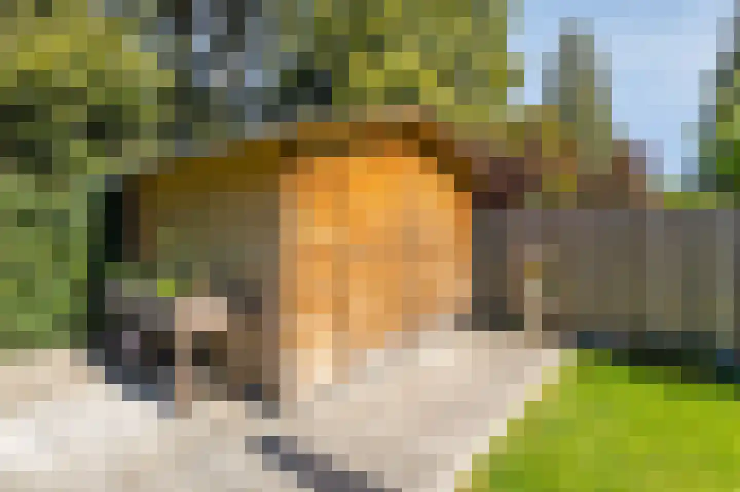 Biesdelselaan 22 d Velp thumbnail 58