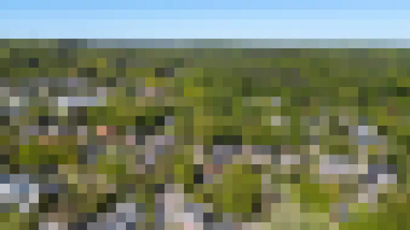 Biesdelselaan 22 d Velp thumbnail 6