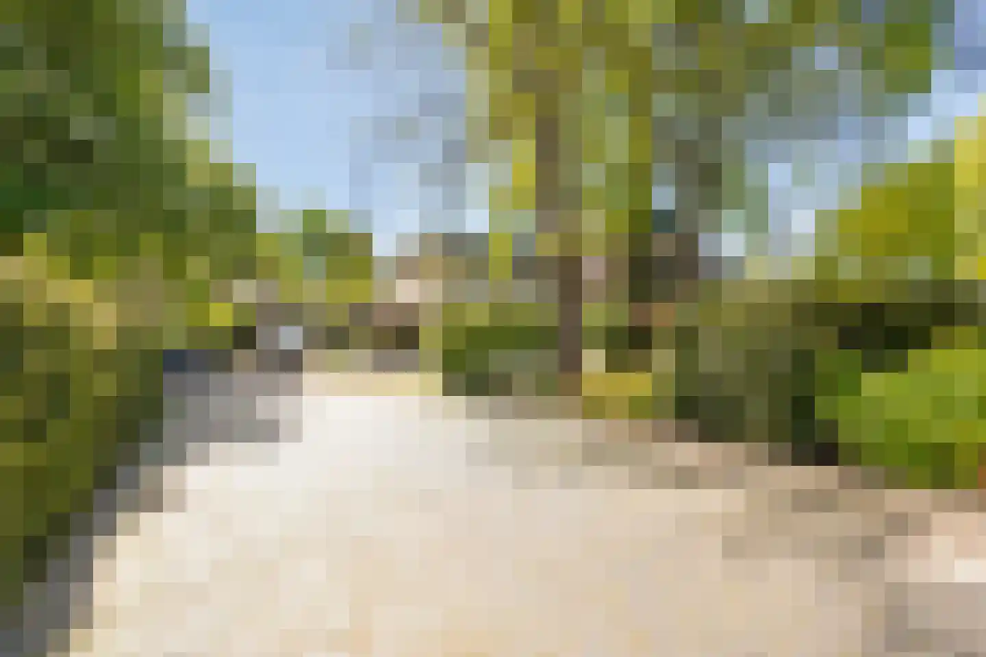 Biesdelselaan 22 d Velp thumbnail 61