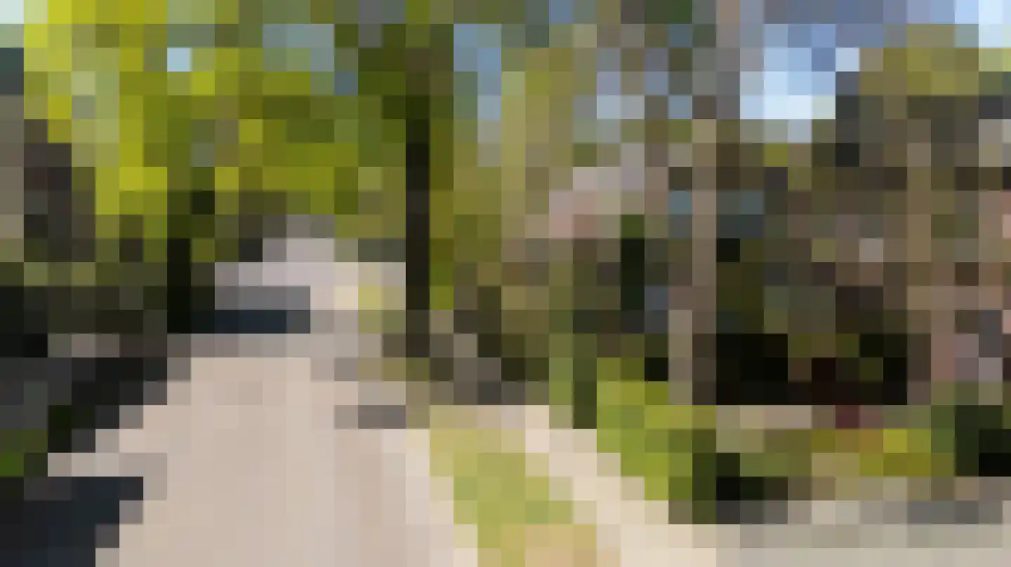 Biesdelselaan 22 d Velp thumbnail 65