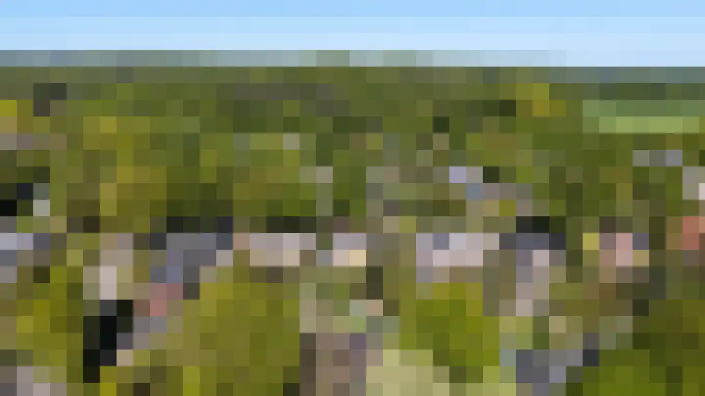 Biesdelselaan 22 d Velp thumbnail 67