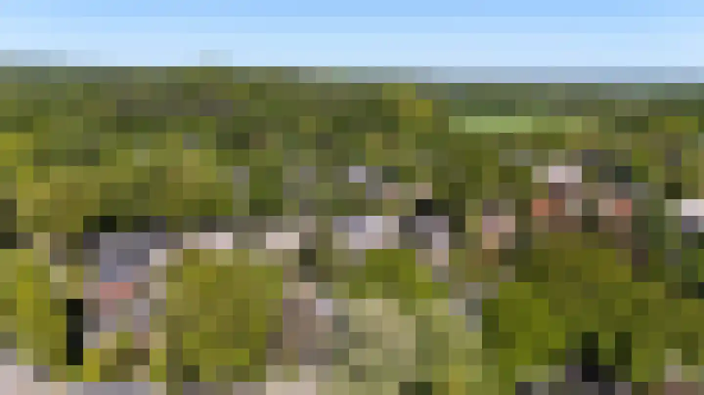 Biesdelselaan 22 d Velp thumbnail 68