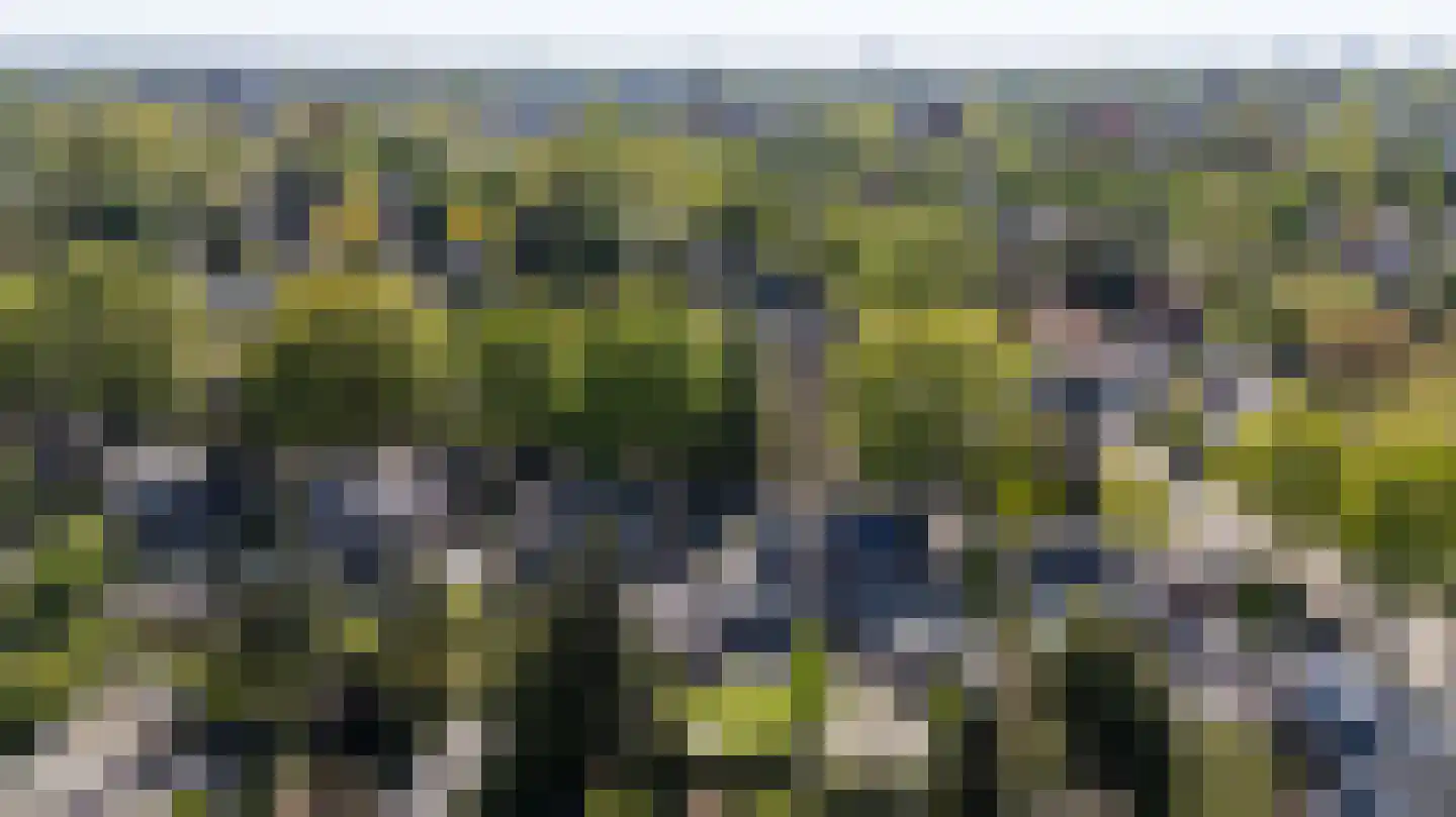 Biesdelselaan 22 d Velp thumbnail 69