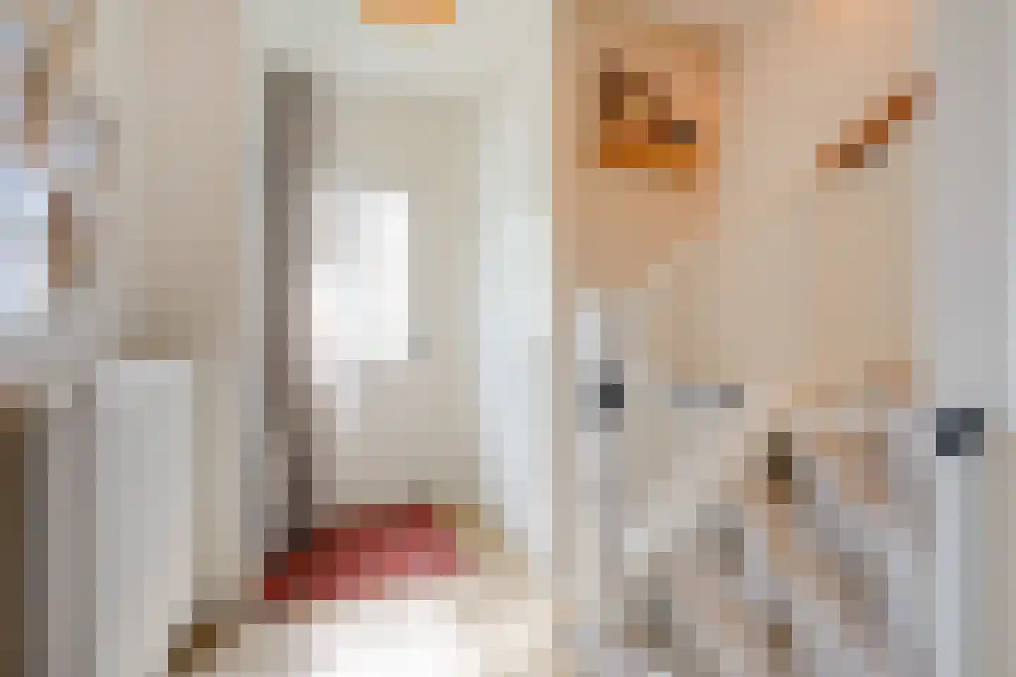 Biesdelselaan 22 d Velp thumbnail 9