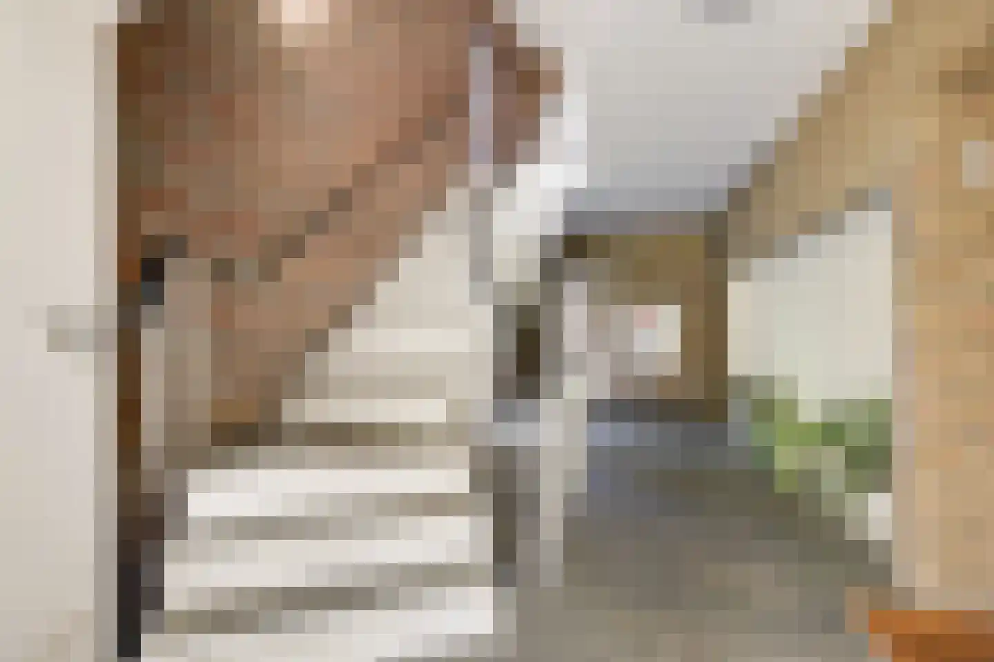 Biesdelselaan 6 e Velp thumbnail 10