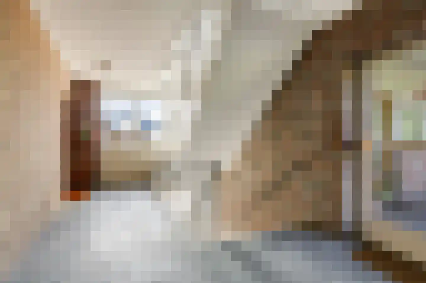 Biesdelselaan 6 e Velp thumbnail 12