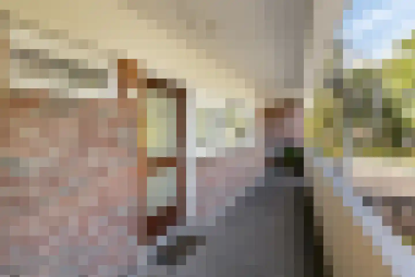 Biesdelselaan 6 e Velp thumbnail 13