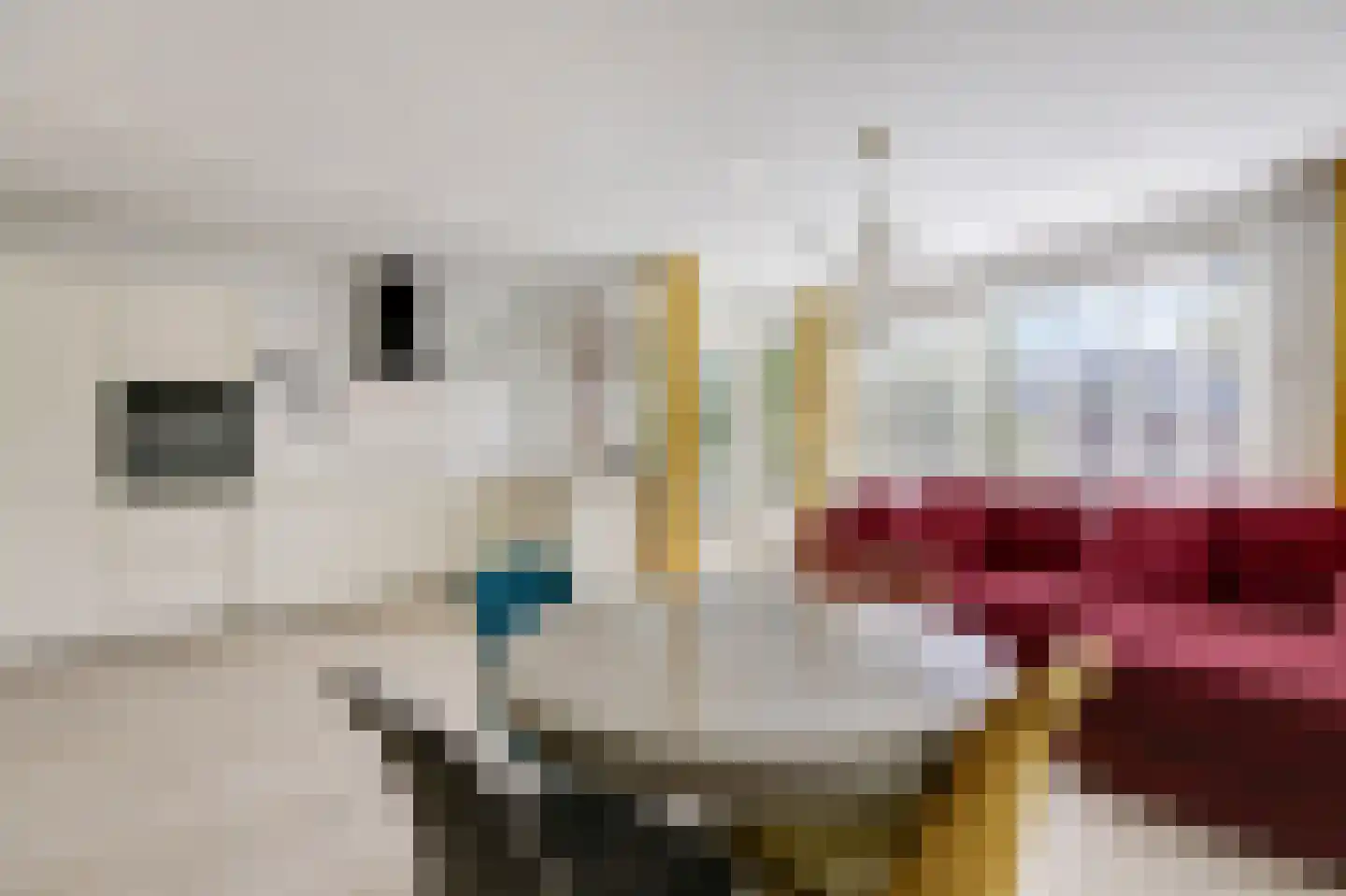 Biesdelselaan 6 e Velp thumbnail 15
