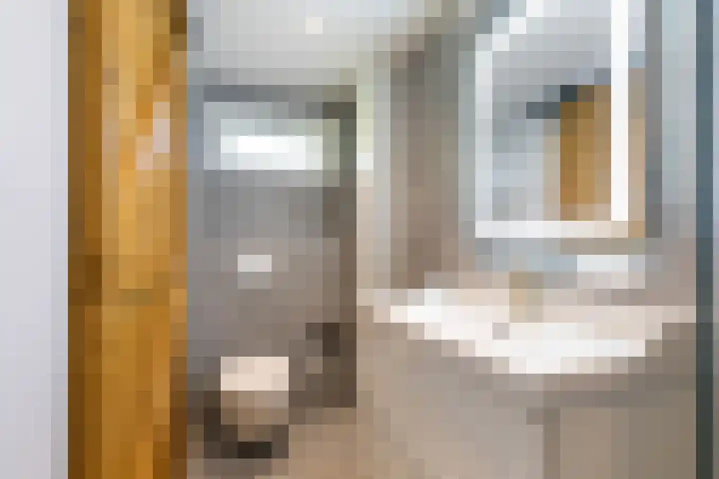 Biesdelselaan 6 e Velp thumbnail 21