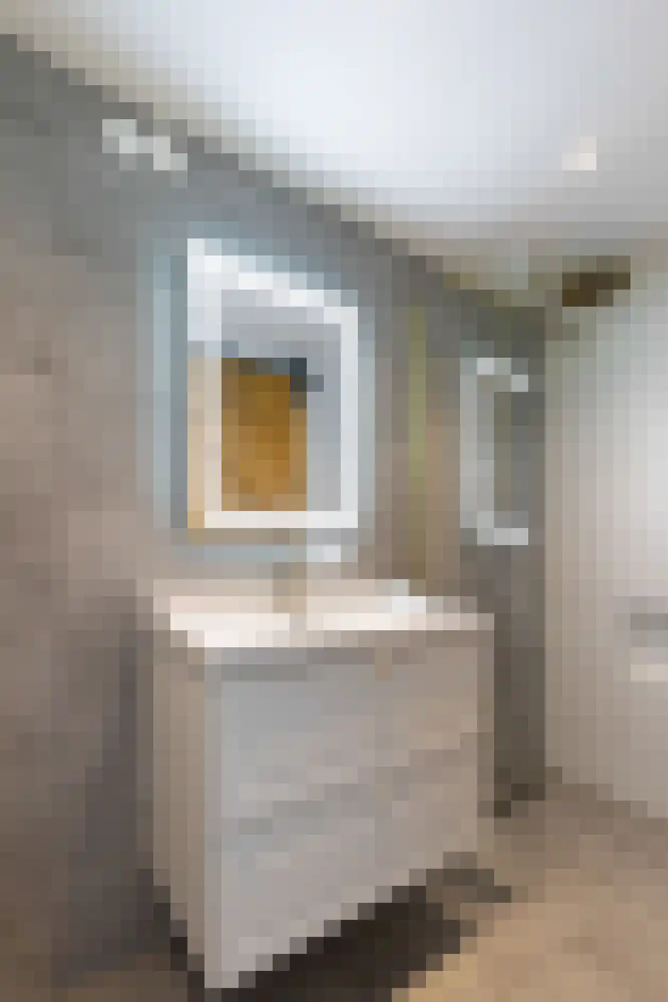 Biesdelselaan 6 e Velp thumbnail 24