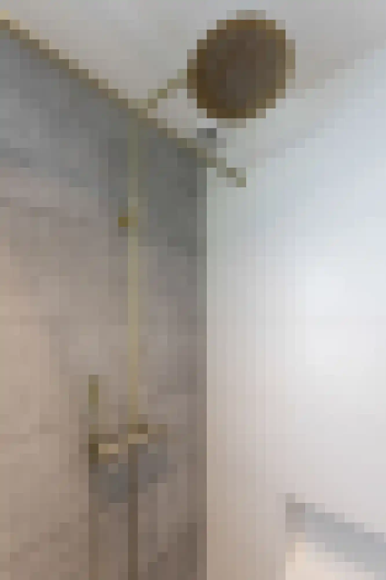 Biesdelselaan 6 e Velp thumbnail 25