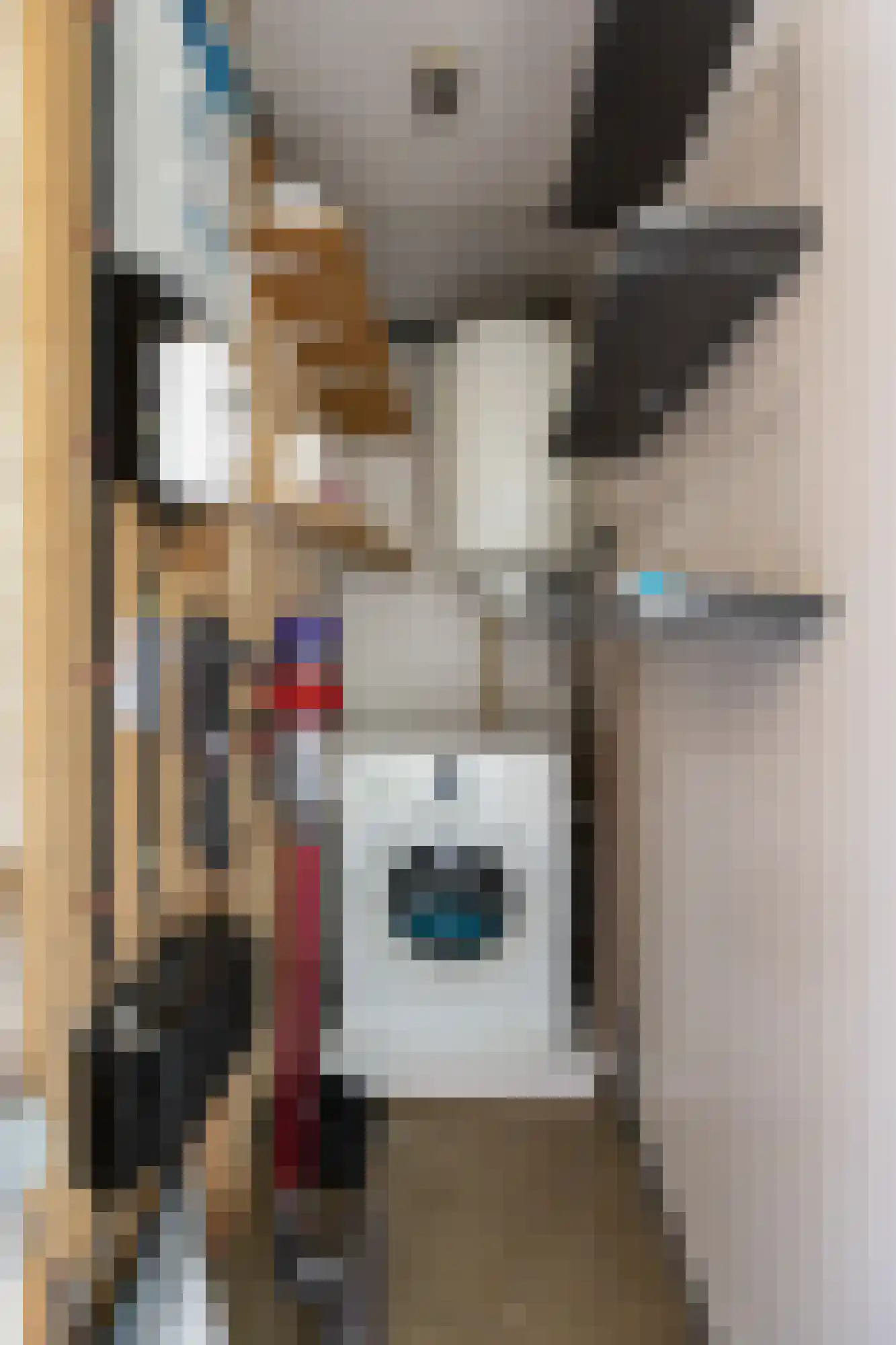 Biesdelselaan 6 e Velp thumbnail 32