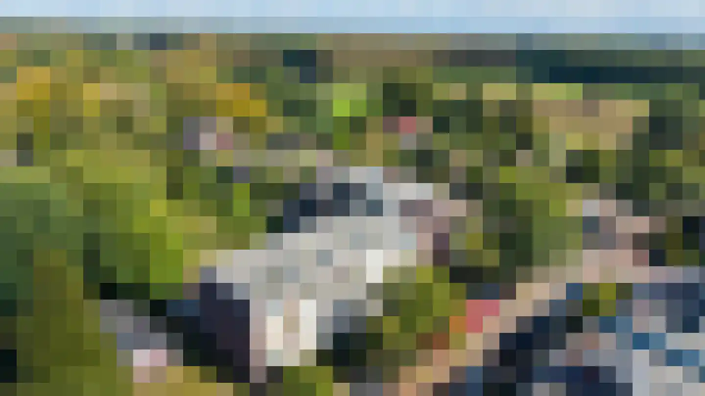 Biesdelselaan 6 e Velp thumbnail 5