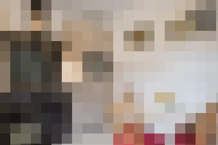 Biesdelselaan 7 a Velp thumbnail 10