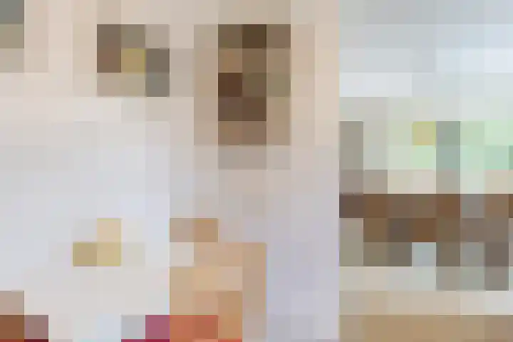 Biesdelselaan 7 a Velp thumbnail 11
