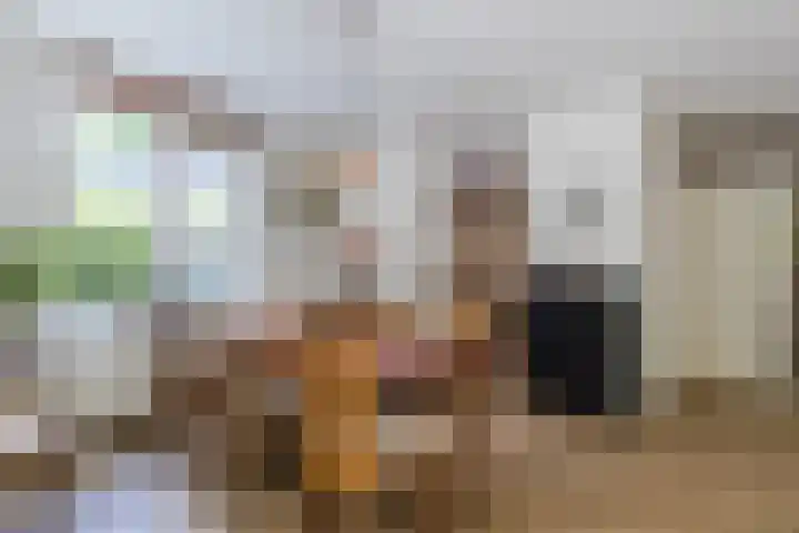 Biesdelselaan 7 a Velp thumbnail 18