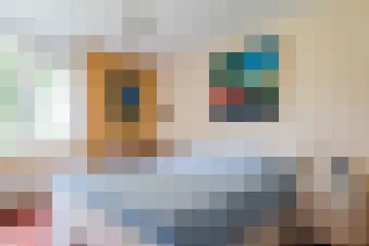 Biesdelselaan 7 a Velp thumbnail 20